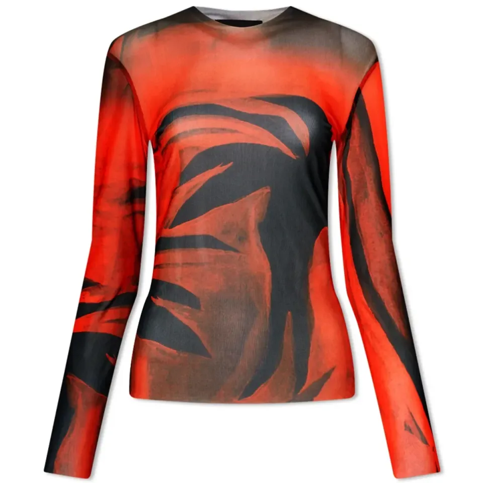 Long Sleeve Mesh Top