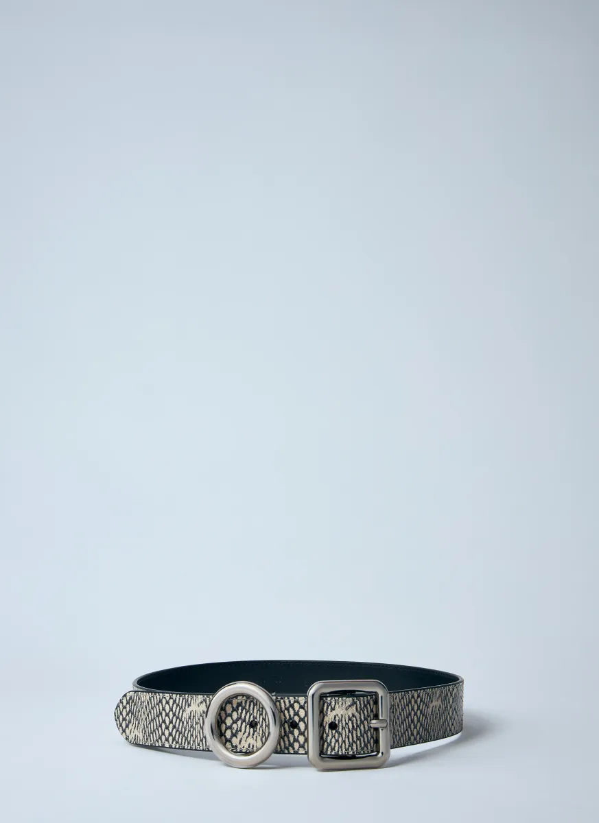 La Ceinture Regalo Belt