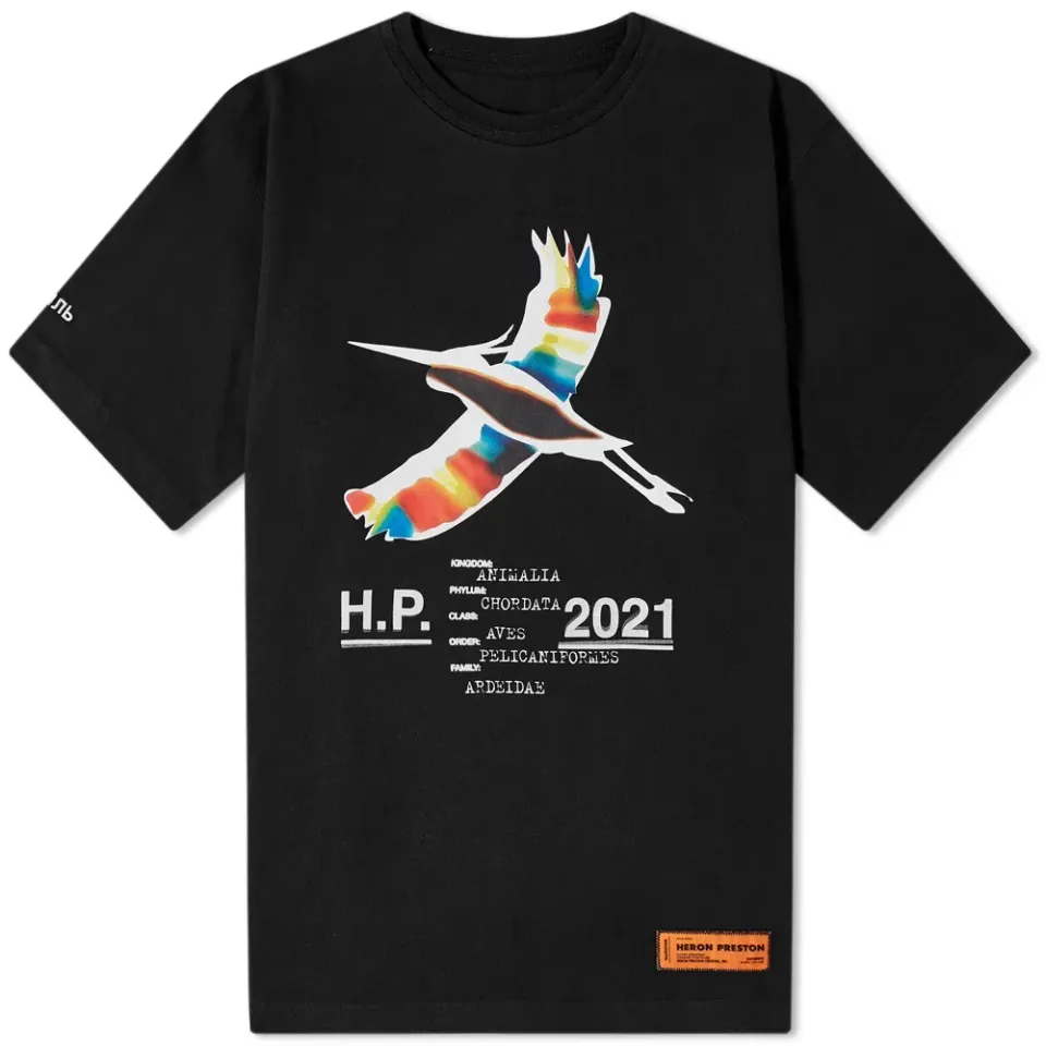 Oversized Heron Rainbow T-Shirt