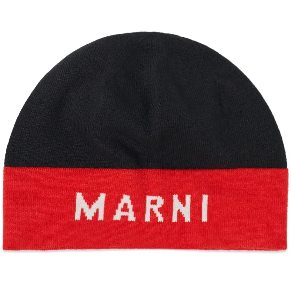 Logo Beanie
