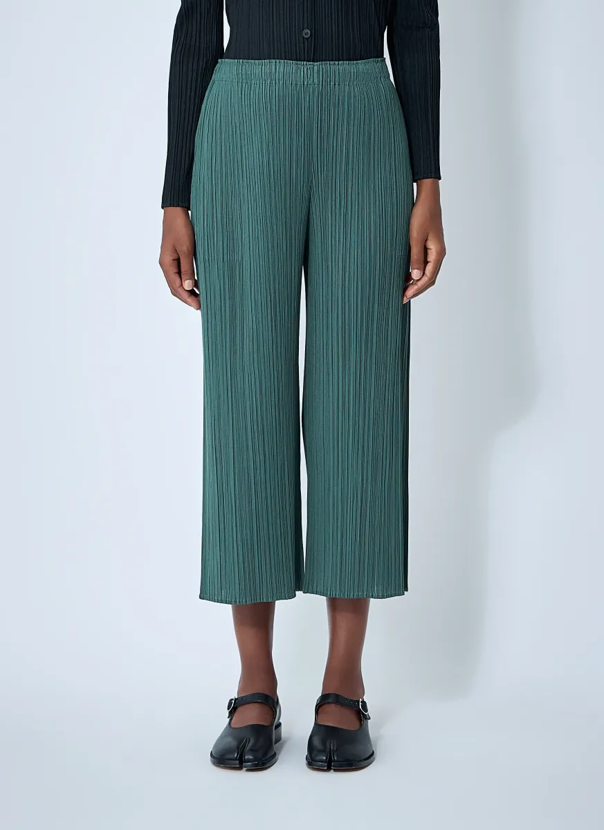 Pleated Pants