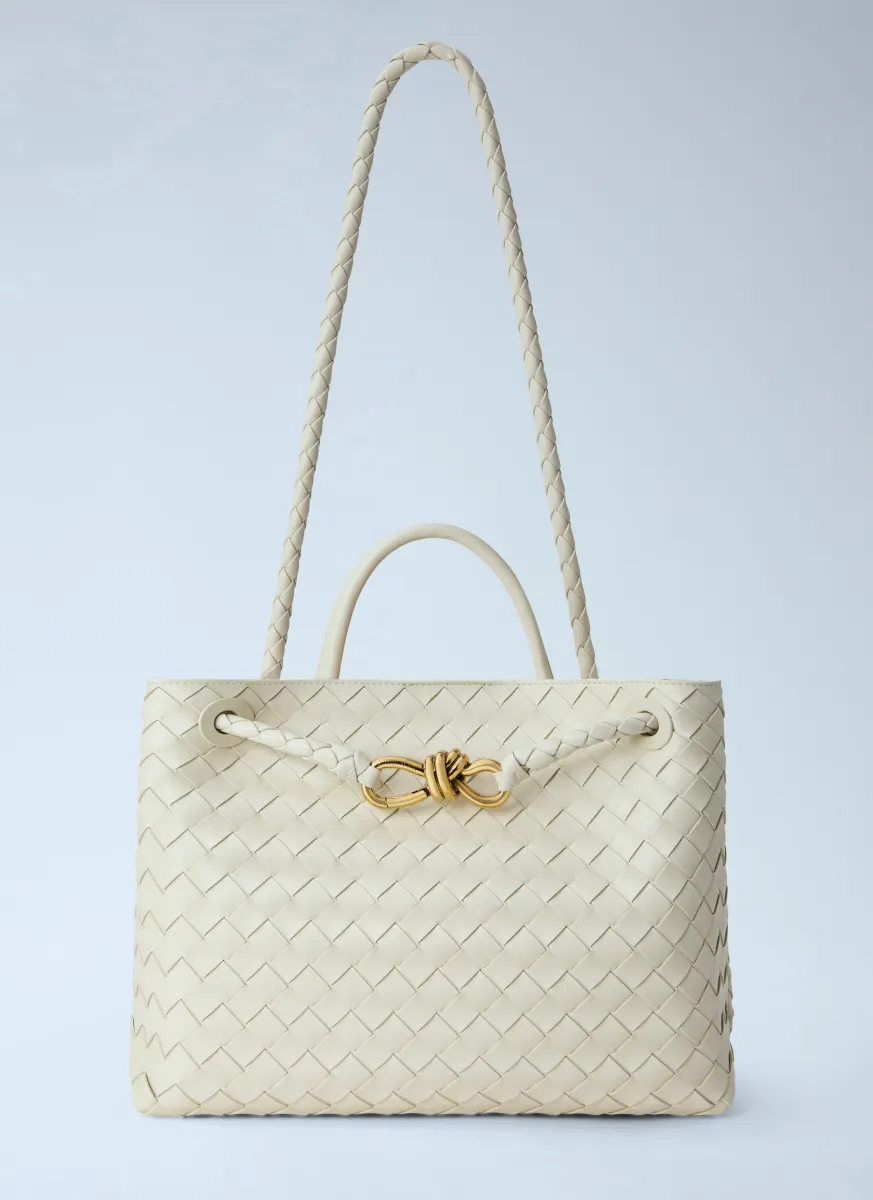 Medium Andiamo Handbag