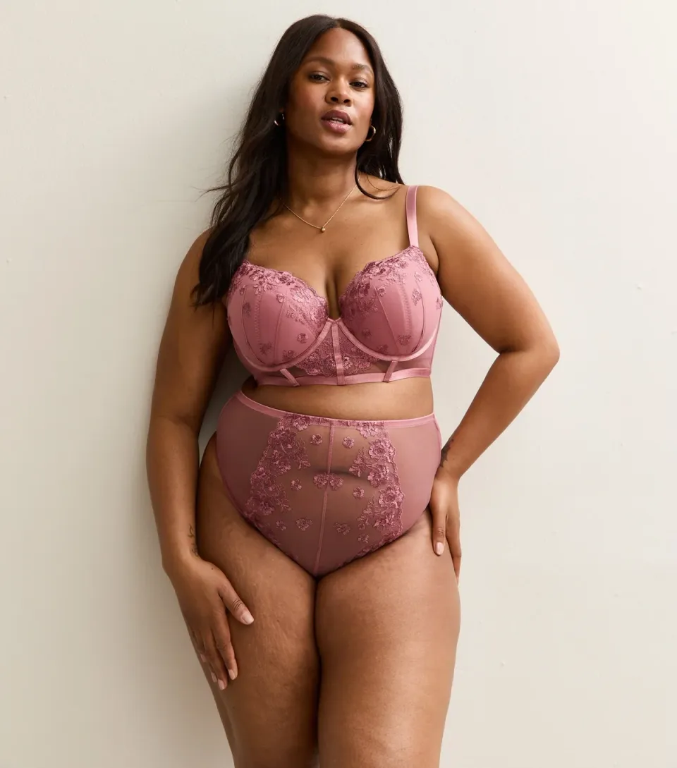 Women's Plus Size Pink Embroidered High Waisted Brazilian Briefs Curves