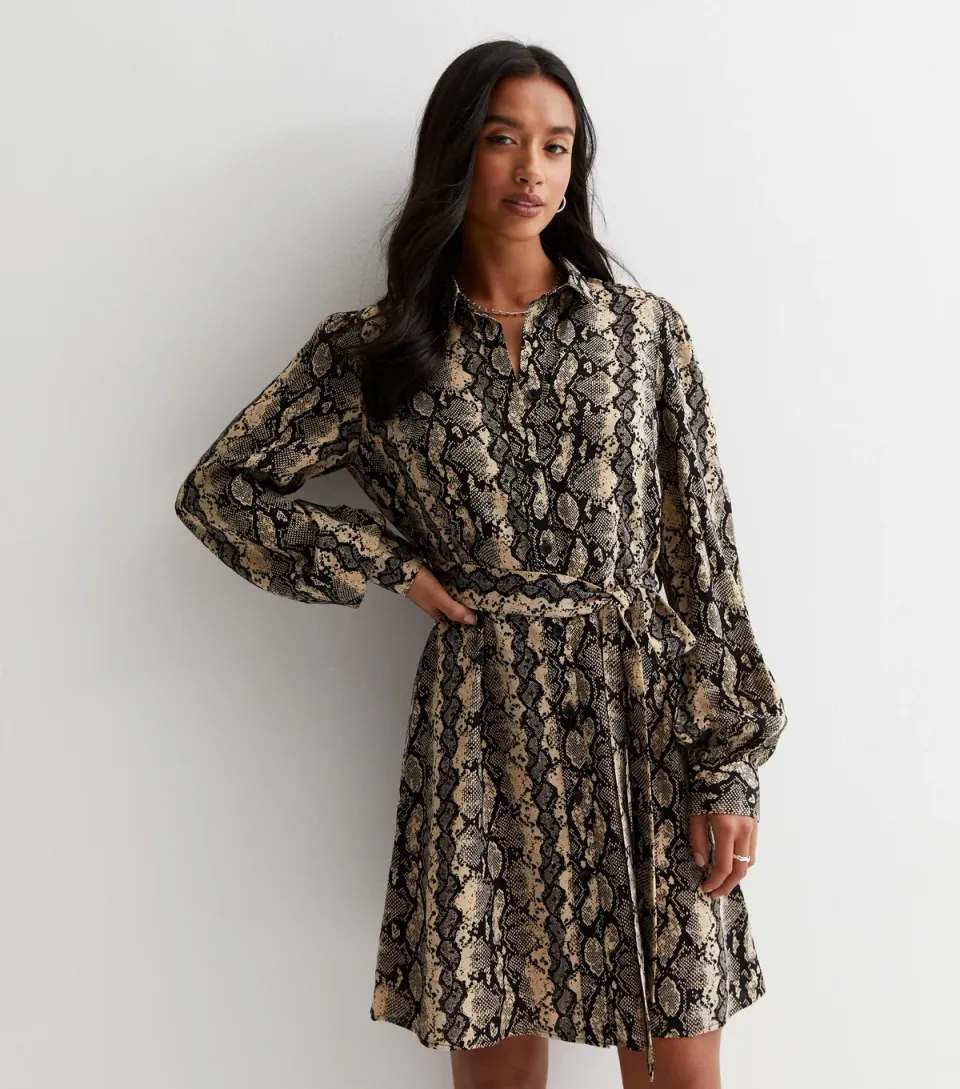 Women's Petite Brown Snake Print Long Sleeve Mini Shirt Dress