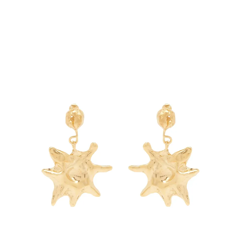 Astro Earrings