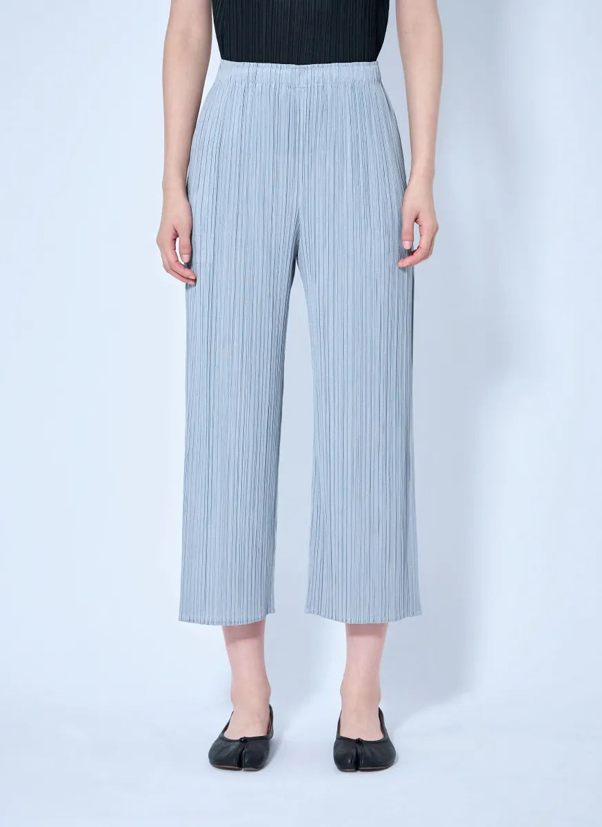 Pleated Wide-Leg Trousers