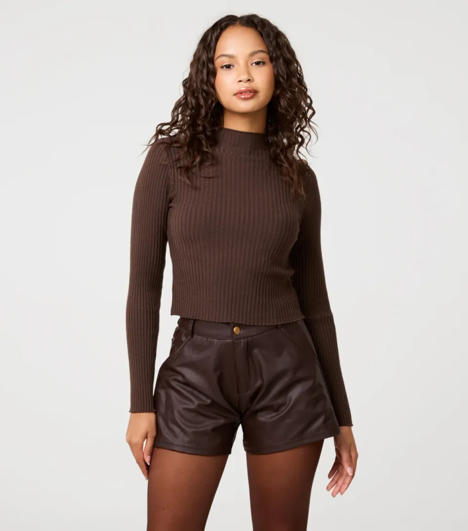Women's Dark Brown Rib High Neck Jumper