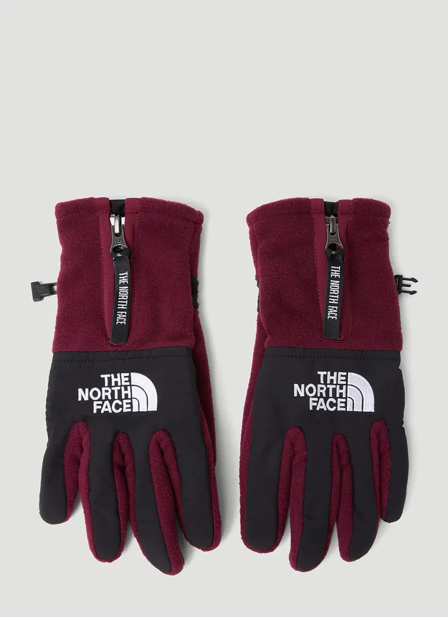 The Denali Etip Gloves