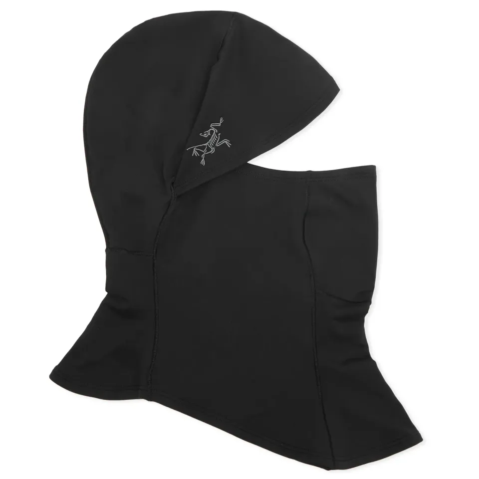 Arc'teryx Rho Balaclava