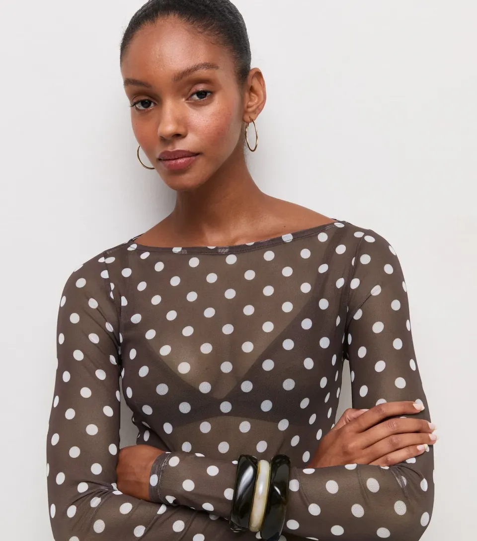 Women's Brown Mesh Polka Dot Long Sleeve Top