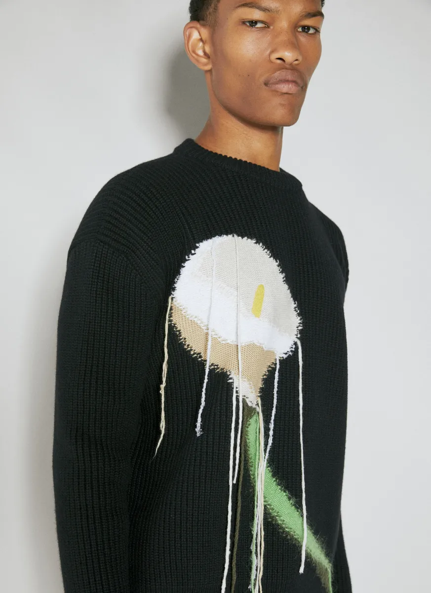 Intarsia Wool Knit Sweater