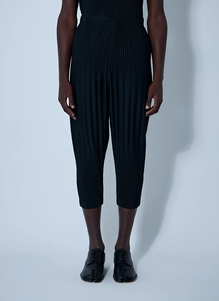 Pleated Pants