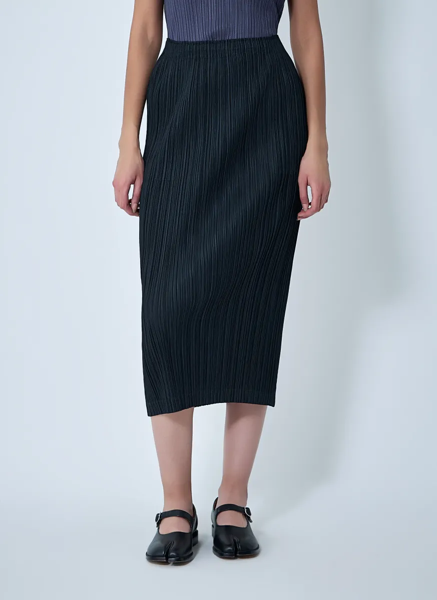 Pleated Skirt