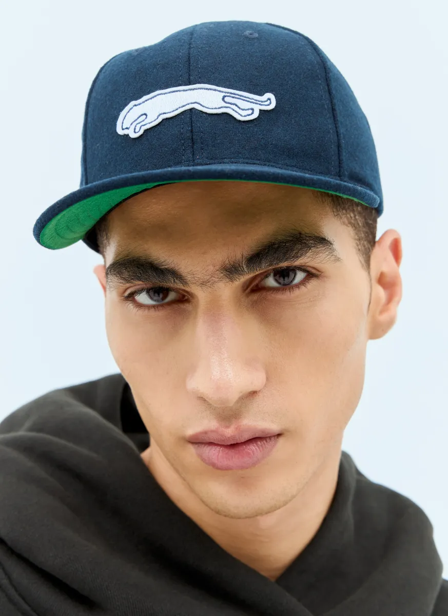 Logo Embroidery Baseball Cap