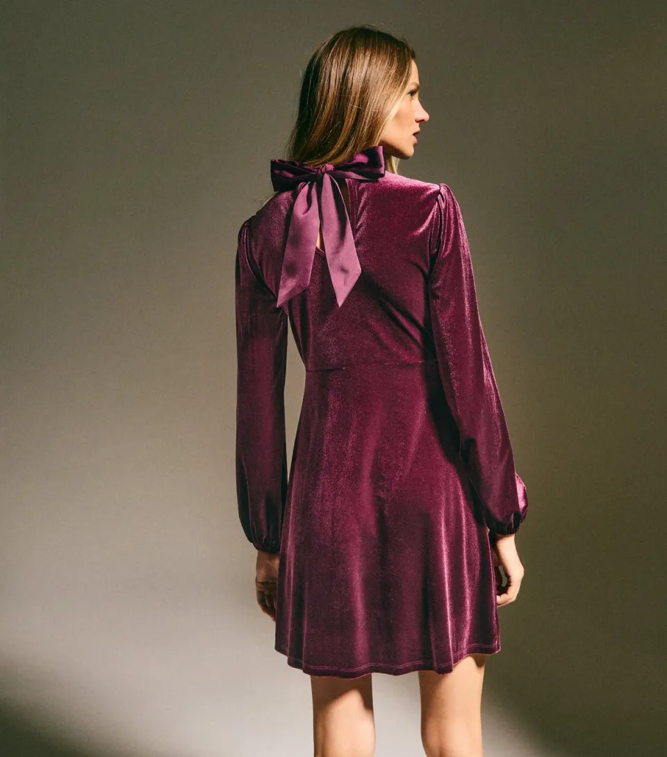 Women's Dark Brown Velvet Long Sleeve Mini Dress
