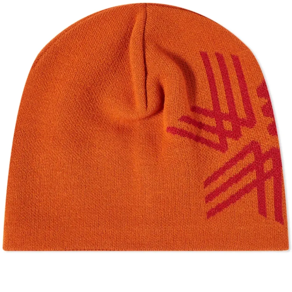 Big Logo Beanie