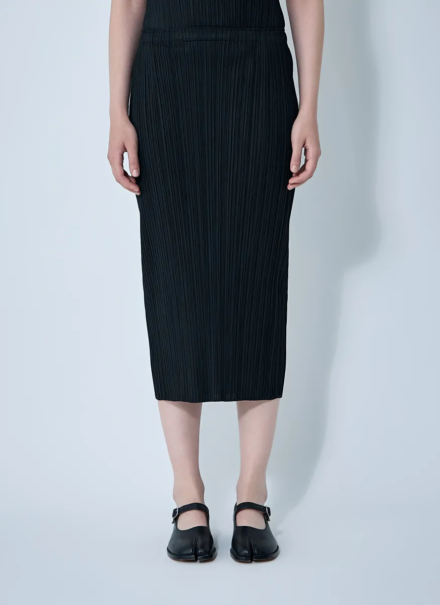 Pleated Skirt
